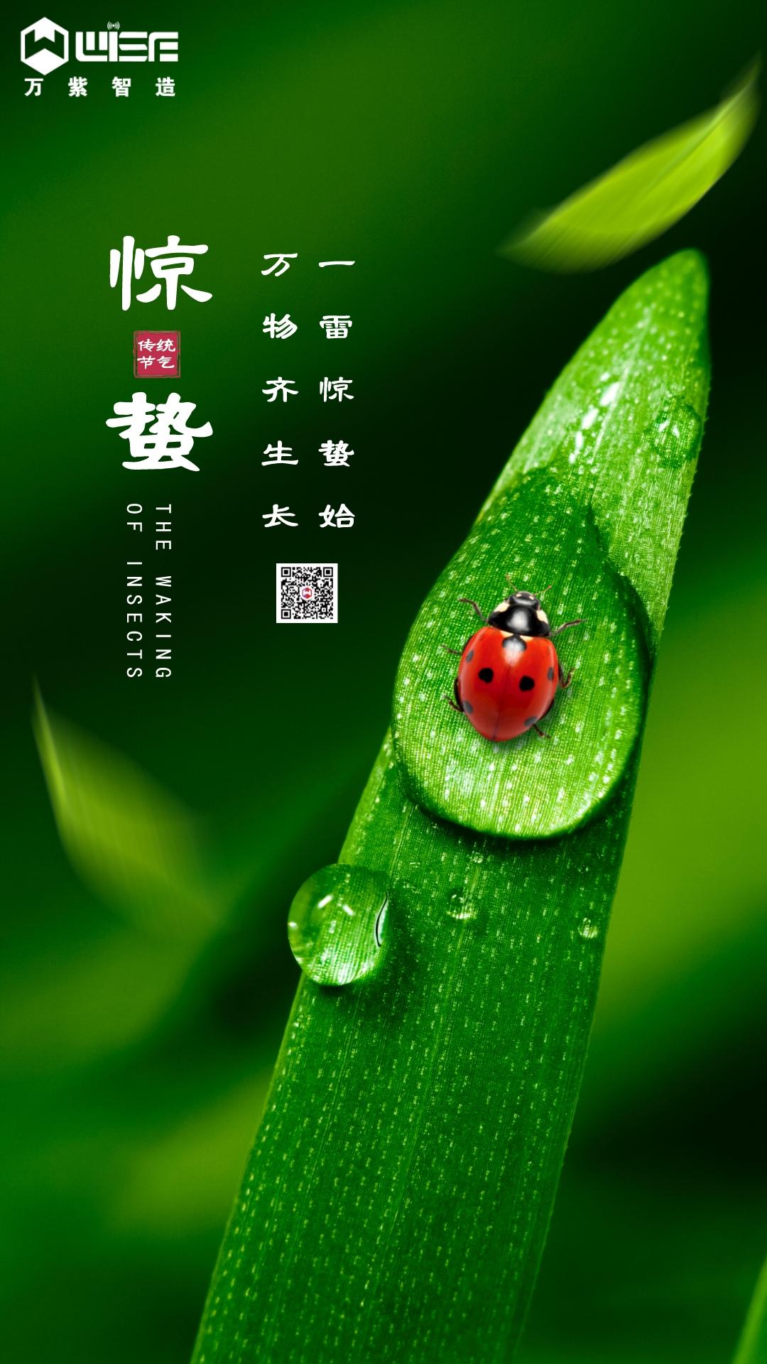 3.5惊蛰主题宣传图文风手机v报__2023-03-06+10_04_09.jpeg